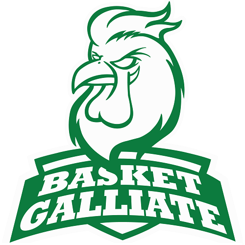 Basket Galliate
